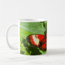 Search for orange butterfly mugs Nature