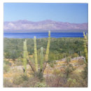 Search for baja tiles Landscape
