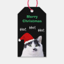 Search for funny cat christmas gift tags Grumpy