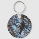 Search for kite key rings Bird