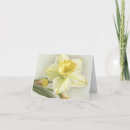 Search for daffodil note cards Yellow