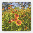 Search for texas wildflower stickers Meadow