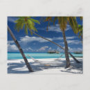 Search for beach postcards Palm tree