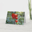 Search for vegetable business stationery Tomato