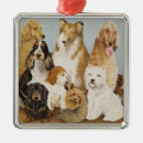 Search for scottie dog christmas tree decorations Pet