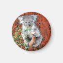 Search for time magnets Animals