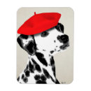 Search for dalmatian magnets Contemporary