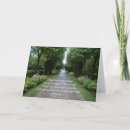 Search for the path of life cards Photography