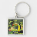 Search for central key rings Colourful