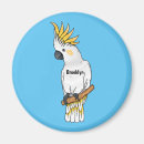 Search for sulphur magnets Bird
