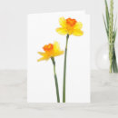 Search for jonquil cards Bouquet