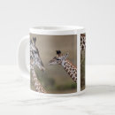 Search for maasai mugs Safari