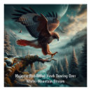 Search for red tailed hawk posters Bird of prey