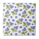Search for blueberry tiles Blueberries