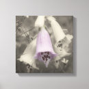 Search for black and white flowers canvas prints Botanical