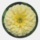 Search for zinnia flower stickers Garden