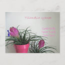 Search for kindly postcards Flowers