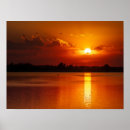 Search for golden bird posters Sunset