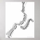 Search for shape note posters Black and white