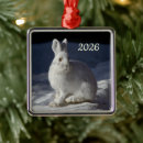Search for hare” christmas tree decorations Winter