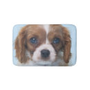 Search for cavalier king charles spaniel bathroom accessories Puppy