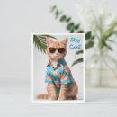 Search for wearing sunglasses cards Cat