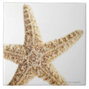 Search for vacations tiles Starfish