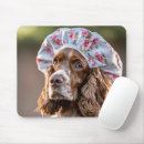 Search for springer mouse mats Canine