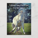 Search for new forest postcards Pony