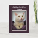 Search for white cat birthday cards Pet