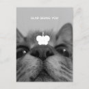 Search for black kitty postcards Feline