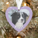 Search for border collie christmas decor Dog