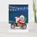 Search for maltese christmas cards Dog
