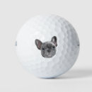 Search for “french golf equipment French bulldog