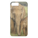 Search for indian elephant iphone cases Corbett