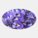 Search for blue iris stickers Nature