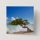 Search for aruba badges Island