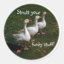 Search for geese stickers Fun