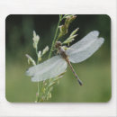 Search for large format mouse mats Adam jones