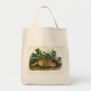 Search for armadillo accessories Illustration