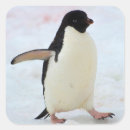 Search for adelie penguin stickers Wildlife
