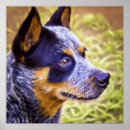 Search for cattle breeds posters Dog