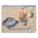 Search for beachcomb Seashells
