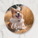Search for dog lover wedding gifts Pet
