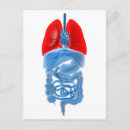Search for x rays postcards Healthcare