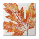 Search for maple leaf tiles Country