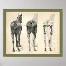 Search for horizontal template art Illustration
