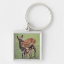 Search for prefecture key rings Togetherness