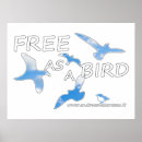 Search for bird freedom posters Fly