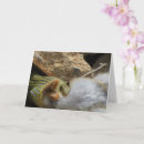 Search for snake cards Wildlife